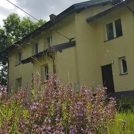 Apartment Wlasny Kat Pod Winnica